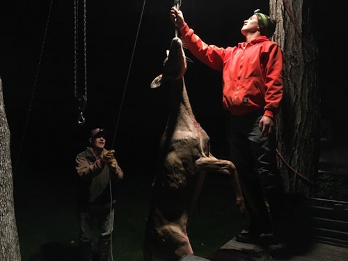 The author tagged this Wisconsin doe on Sept. 19, 2020, from the ambush seen in the top photo. His dad and nephew checked the deer’s field-dressed weight — 108 pounds.