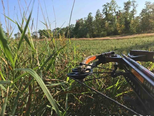 When hunting the edge of a large field, the author keeps his crossbow’s safety on because there will be plenty of time, and distance from a deer, to slip it to the “fire” position.