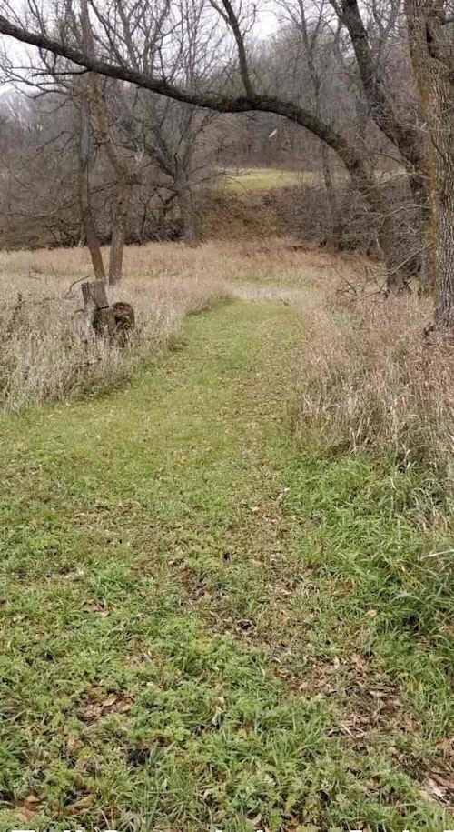 This photo was taken in mid-November 2021 in South Dakota, and as you can see, the mowed path features much more green growth than the surrounding habitat. As a result, deer not only walk the path, but they feed in it, too. Bonus: These mowed paths are outstanding spots to ambush turkeys during spring.