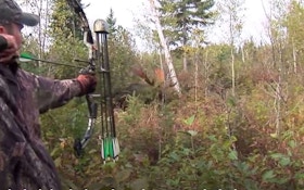 Bowhunting Video: Intense In-Your-Face Moose Encounter