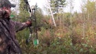 Bowhunting Video: Intense In-Your-Face Moose Encounter