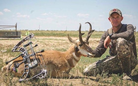 4 Tips for Hot-Weather Pronghorns