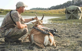 Avoid These Pitfalls While Bowhunting Prairie Pronghorn