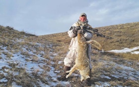 Coyote Hunting is for the Birds