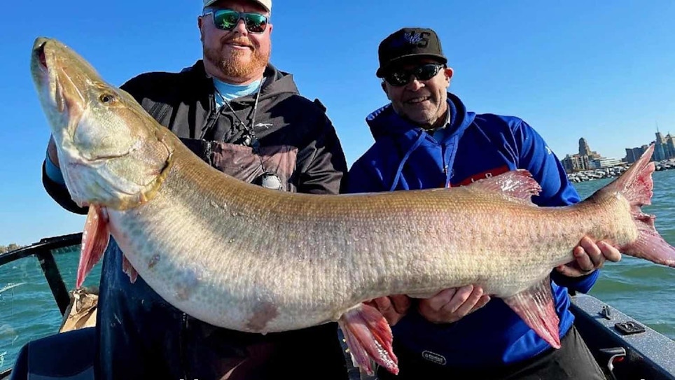 Video: Biggest Muskie Ever Caught on Lake Erie?