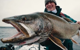 Video: Giant Lake Trout Fishing Reaches Mayhem Levels