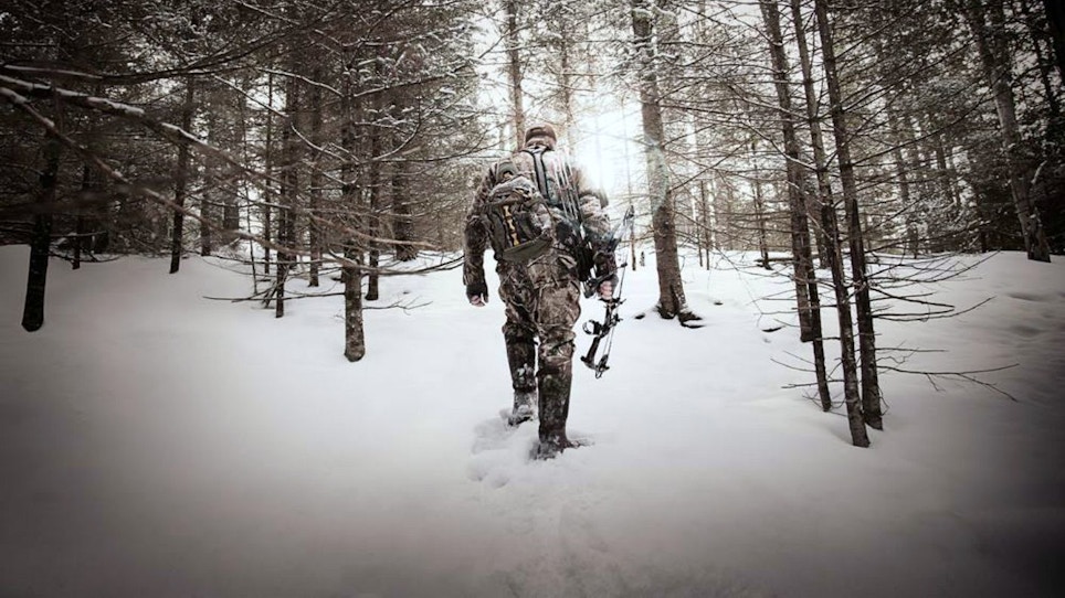 Late-Season Bow Tactics for Whitetails