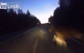 VIDEO: What Is It Like To Hit A Moose At 60 MPH?