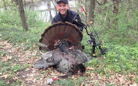 Tips for Bowhunting Educated Turkeys