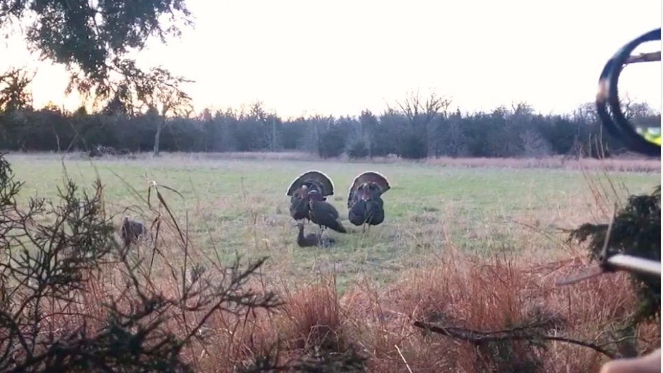 Self-Filmed Video: Bowhunting Wild Turkeys From a Natural Ground Blind
