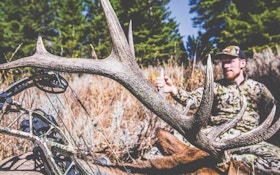 Is a Draw Hunt Your Best Bet for Western Big Game Success?