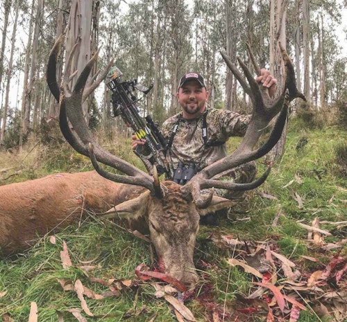 After witnessing quite a show of rut behavior near a wallow, the author was rewarded with a 25-yard shot. The massive stag ran only 50 yards before dropping.
