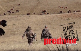 VIDEO: Cover and concealment, coyote hunters best friends