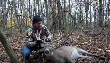 Video: Lesson Learned About Whitetail Anatomy