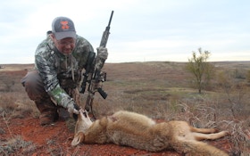Oklahoma Considers Night Hunting of Coyotes
