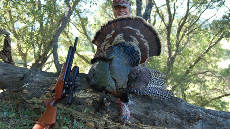 Why You Should Hunt Turkeys With An Airgun