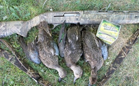 Should You Try A 20-Gauge For Duck Hunting?