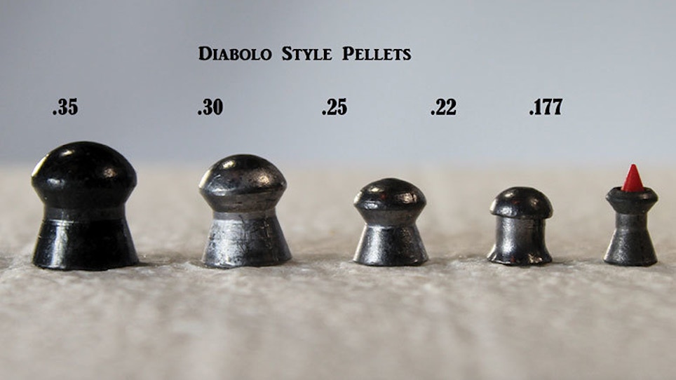 Why Diabolo Pellets Are For Hunting