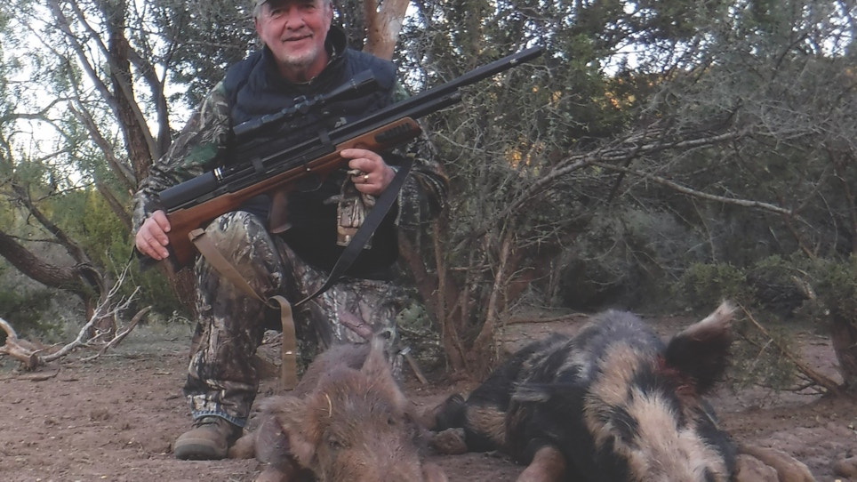 Airguns and Feral Hogs: Going Small Bore for Small Boar