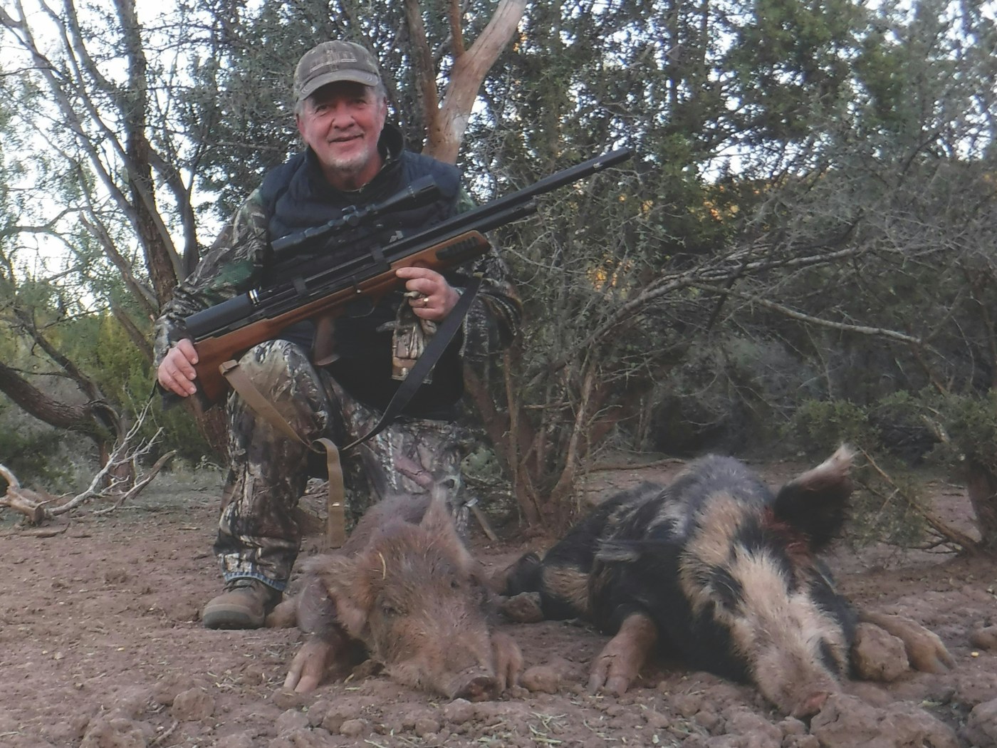 Airguns And Feral Hogs Going Small Bore For Grand View Outdoors airguns and feral hogs going small