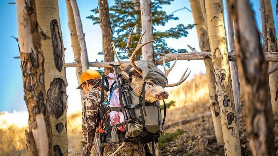 5 Must-Have Field Dressing Tools for Your Hunting Pack