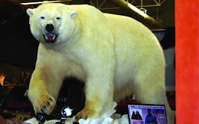 Hunting Polar Bears With a Bow