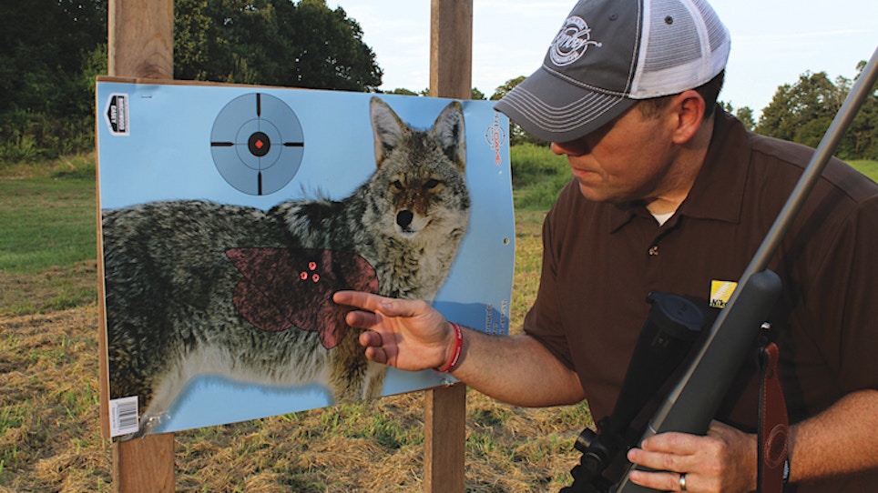 Does Reloading for Hunting Predators Save Money or Help Accuracy?