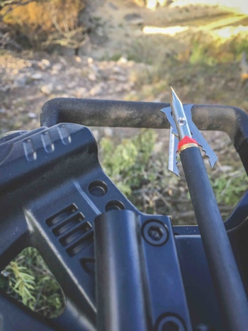 The Rage Trypan Crossbow head opens a massive entry hole. The author’s arrow penetrated fully, leaving an easy-to-follow blood trail.