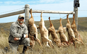 Study: Hunting and Trapping Coyotes May Not Improve Deer Survival