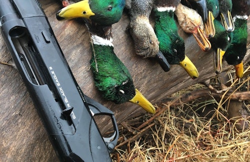 The Benelli Super Black Eagle 3 with BE.S.T. is designed for waterfowlers who demand a tough finish that will combat rust and corrosion.