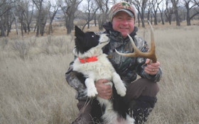 How Shed Antlers Can Help Your Whitetail Hunting
