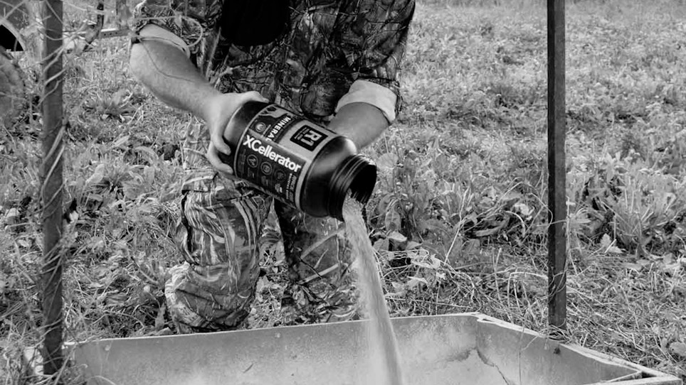 Whitetail Journal's Quick Look: 2018 Land Management Tools and Resources
