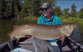 Video: 50-Inch Muskie Spotted on FishFinder, Then Caught Seconds Later