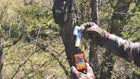 Trail Camera Tactics for Coyotes