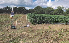 Planting Soybeans and Other Legumes for Whitetails