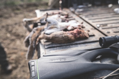 Bringing home a mess of squirrels is fun, but the object of the Squirrel Master Classic is camaraderie, safety and friendly competition — the rest is just icing on the cake.