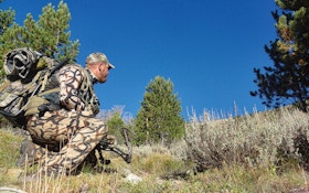 Elk Hunting Tips From Spot-And-Stalk Experts