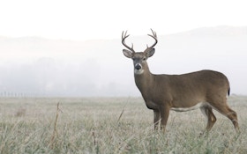 Chronic Wasting Disease Spreading Among Wisconsin Deer