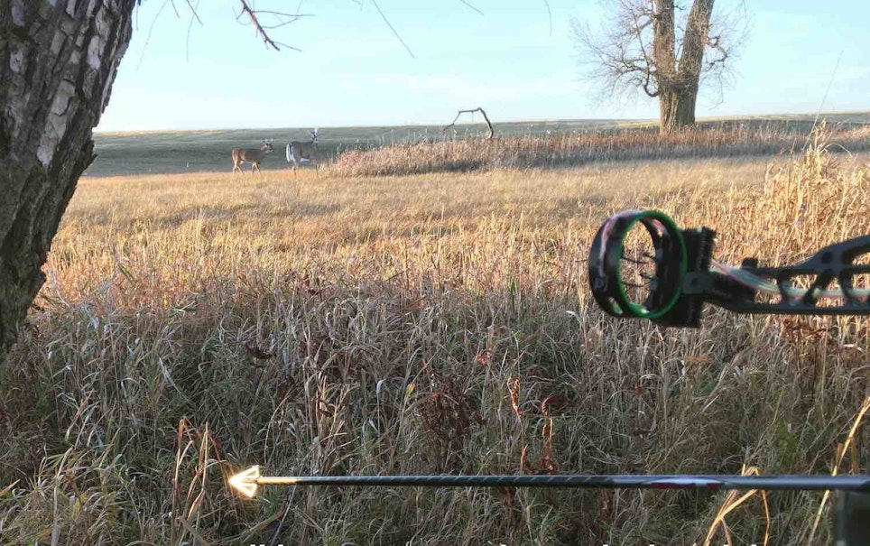 The first buck that approached the author’s Trixie doe decoy circled it several times.
