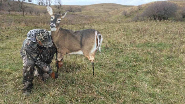 Field Test: Trixie Whitetail Doe from Montana Decoy Co.