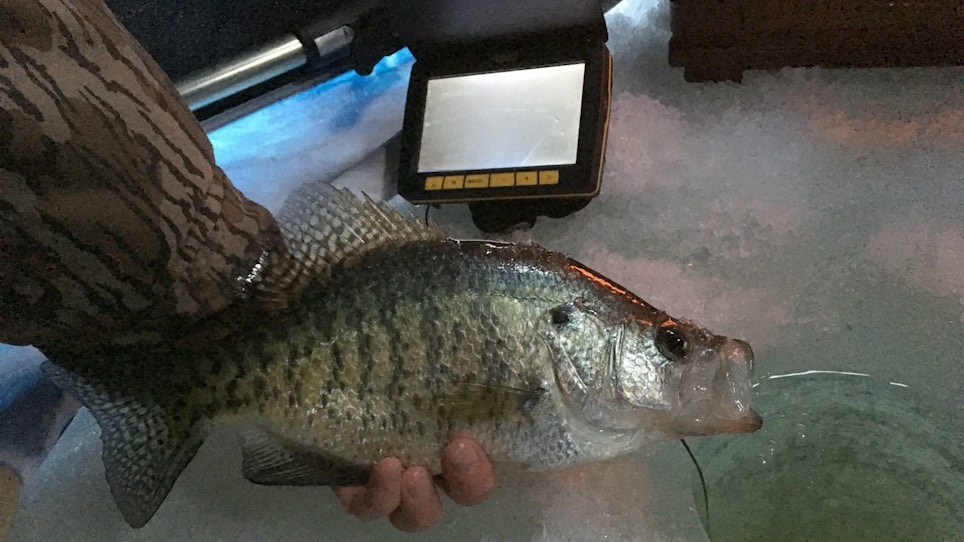 Ice Fishermen: Is an Underwater Camera Right for You?
