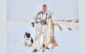 Six Secret Tips of Top Coyote and Predator Hunters