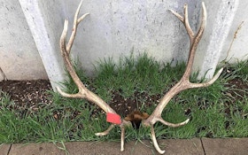 Game Warden Chronicles: Idaho Woman Charged in Elk Poaching; Jersey Shore Angling Party is Costly
