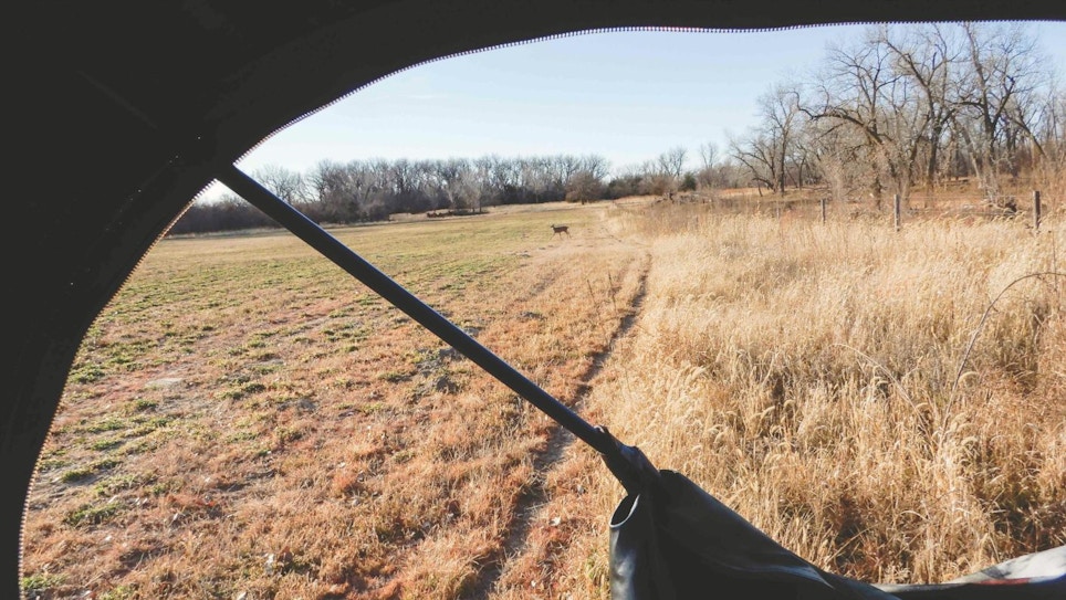 Bow-Friendly Ambushes for Whitetails