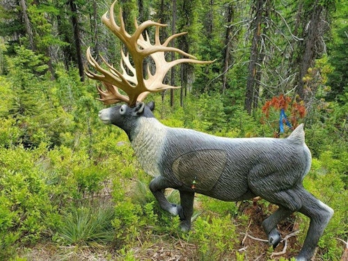 Think you could make the shot on a world record caribou (above) or moose (below)?