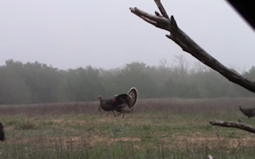 How to react when your turkey hunting plan is ruined