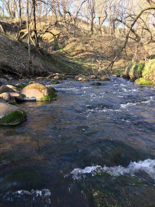 The author’s hunting property in South Dakota features this fast-moving, rocky creek.