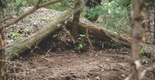 Building buck beds is a great way to position bucks where you want them on your property. It’s an easy-to-do process, and one that can be done on most any property no matter how big or small.