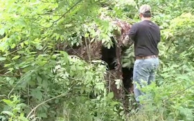 Tip of the Week: Hiding Your Hunting Blind