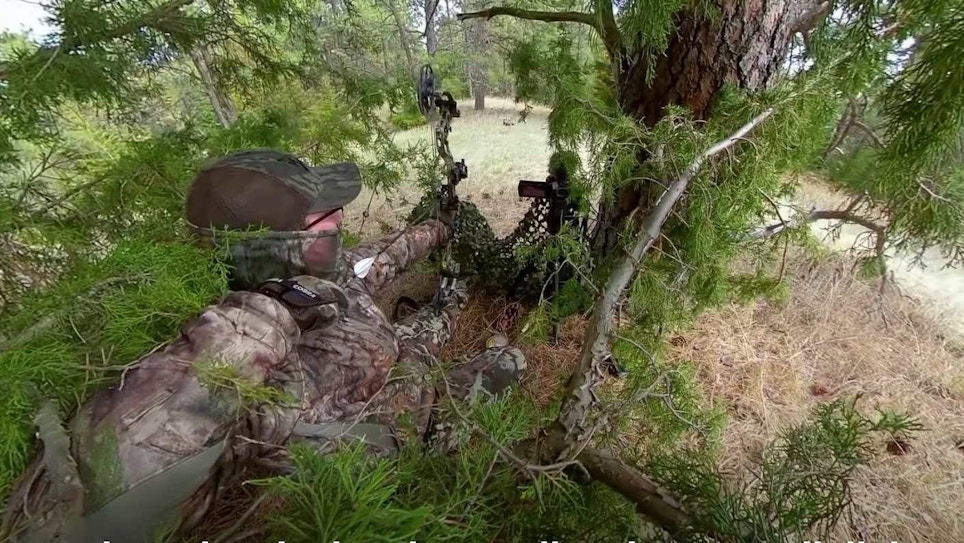Self-Filmed Video: Bowhunting Turkeys Without a Blind